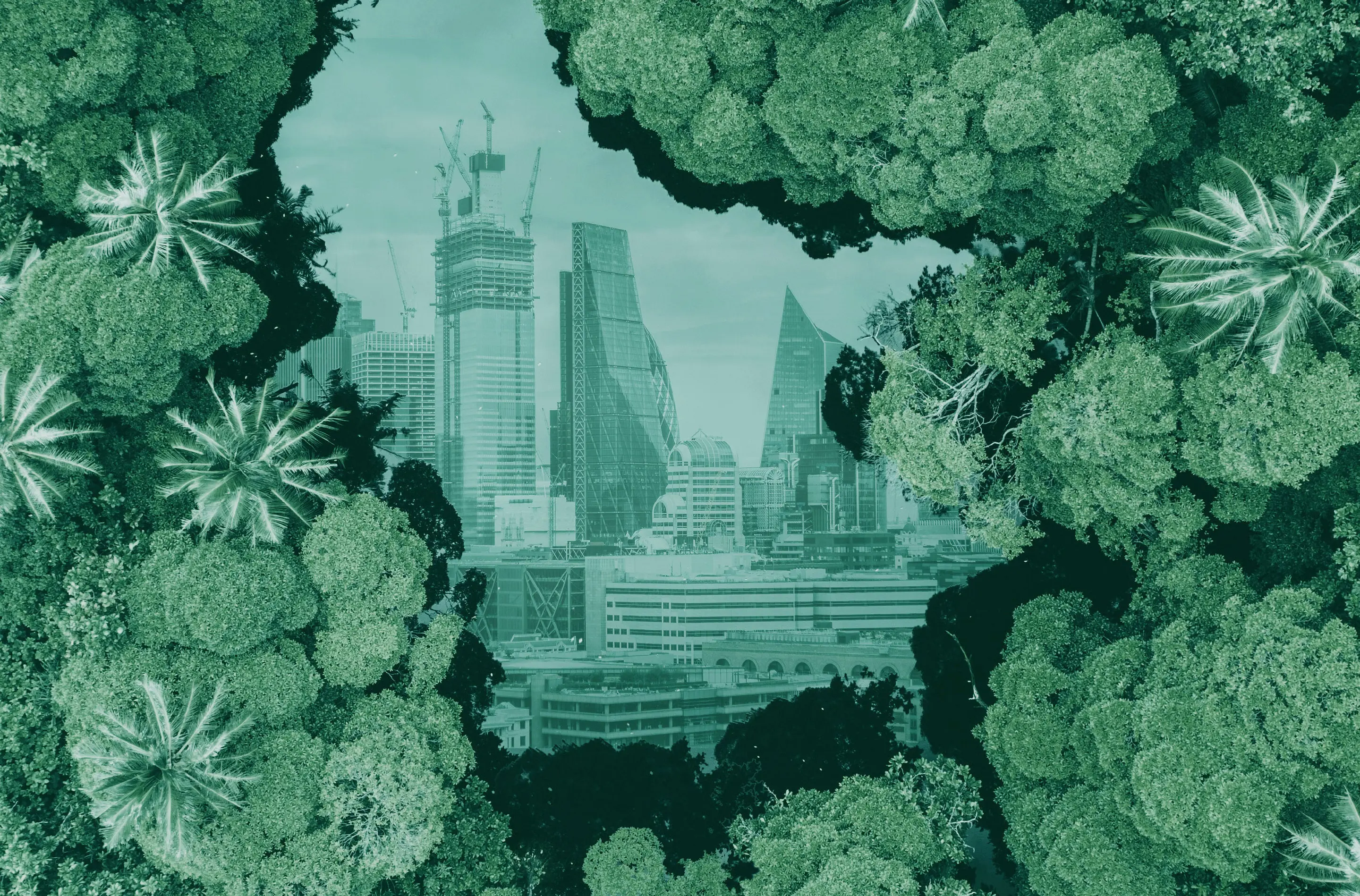 Climate emergency - can we learn from the COVID-19 response?