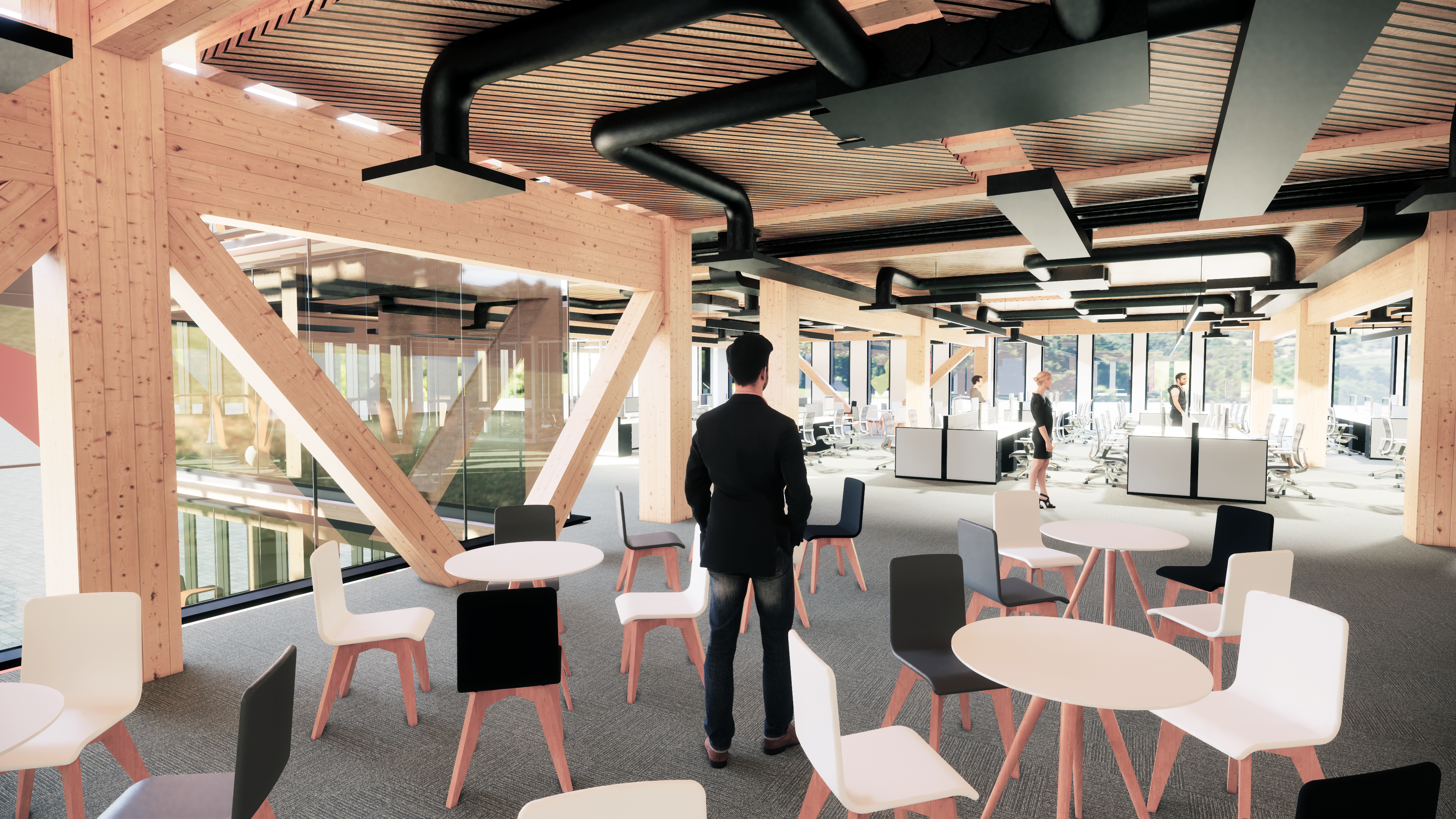 Watch now: timber offices of the future